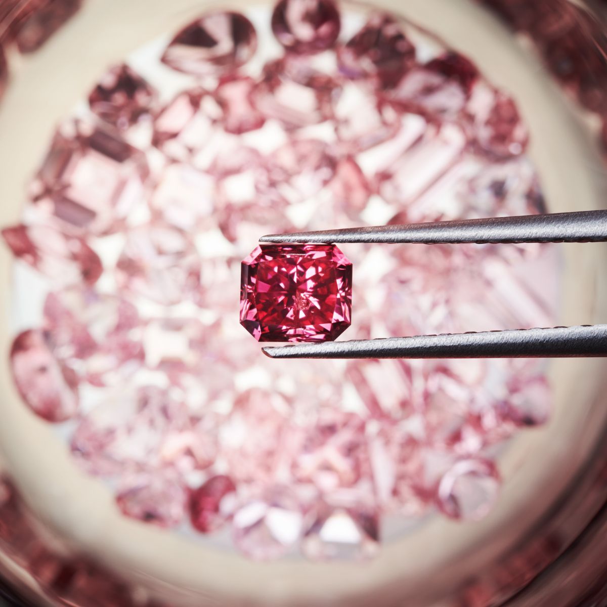 How Much Are Pink Diamonds Per Carat? All Your Questions Answered.