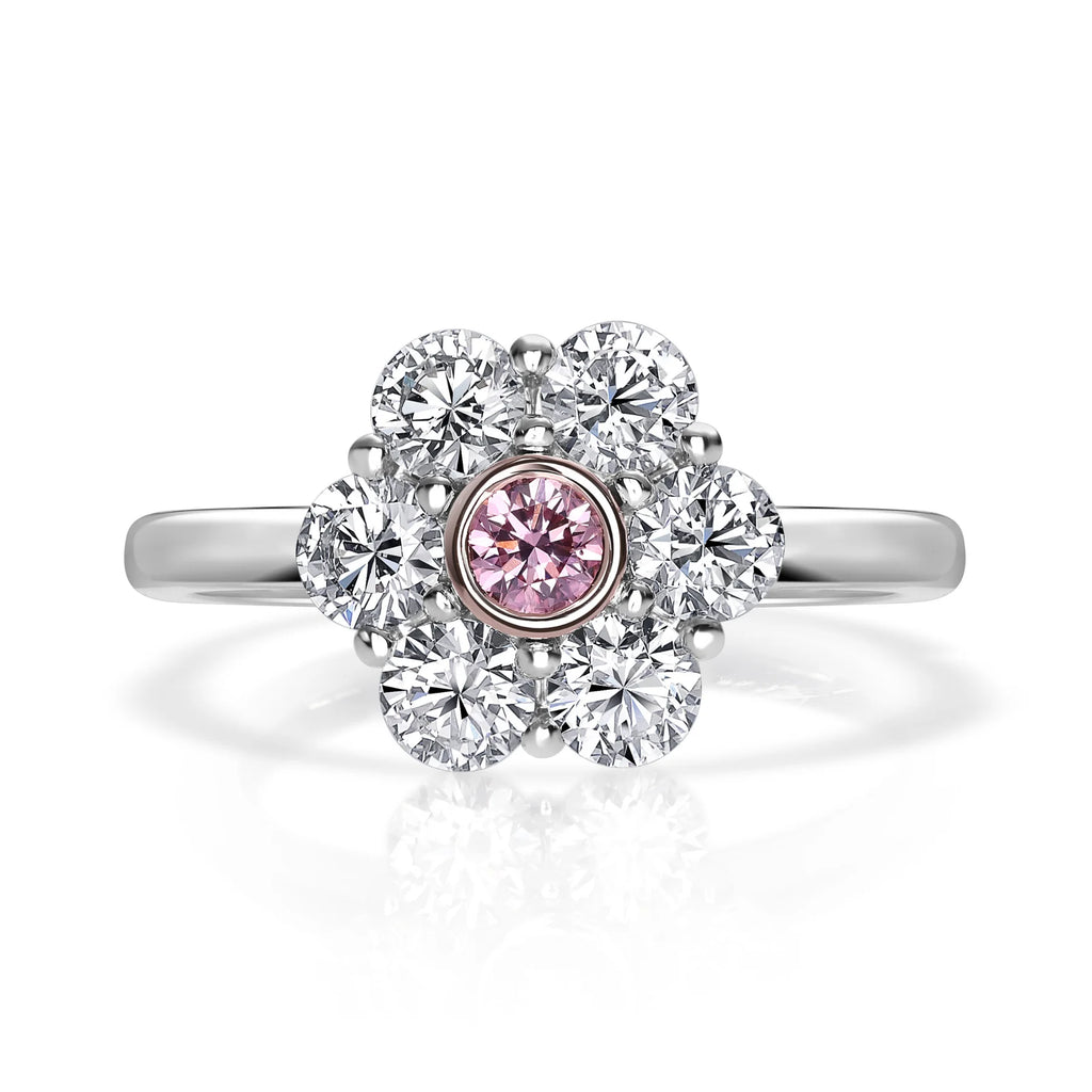 Argyle Pink Diamond Halo Ring - Daisy - Platinum – Paul Bram